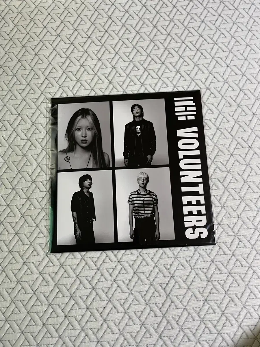 2024-25 종의기원 실황 DVD | 브랜드 중고거래 플랫폼, 번개장터